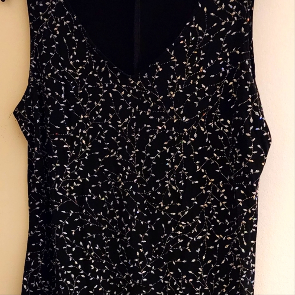 Dress Barn 2 pieces top